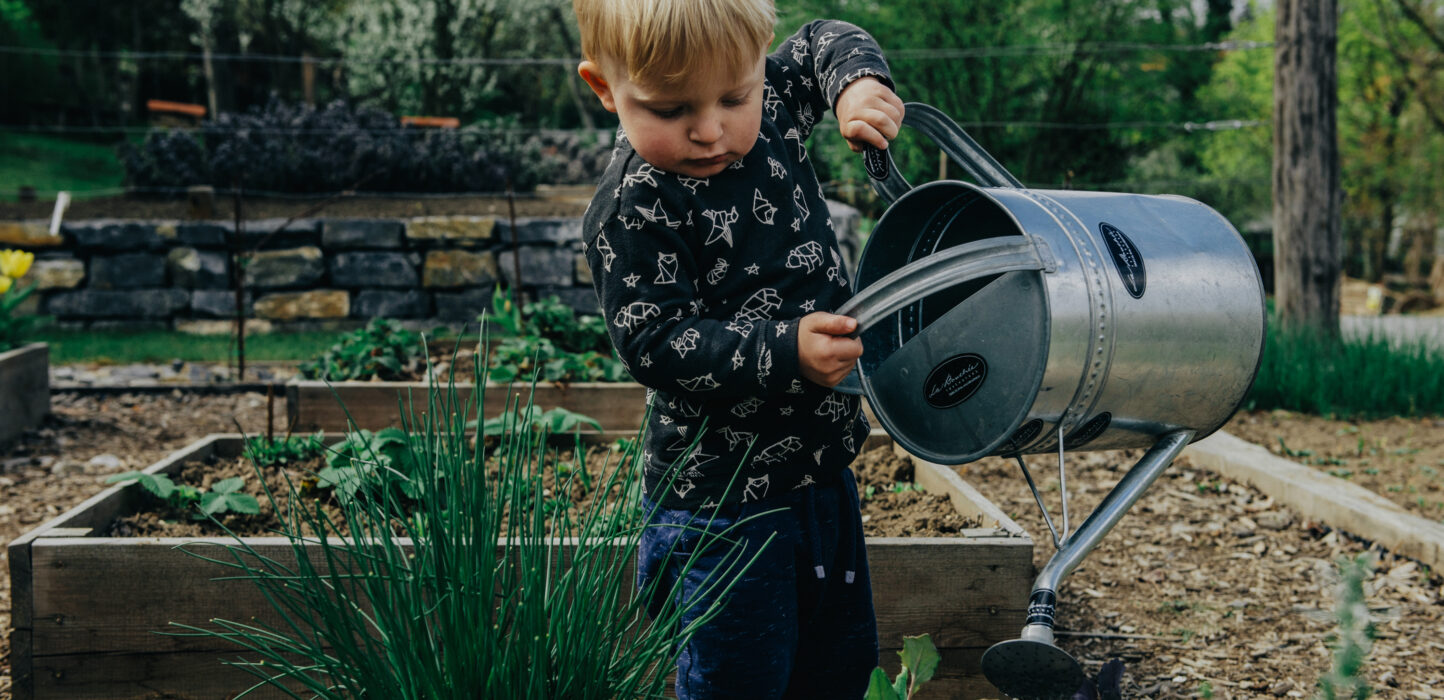3 Jähriger Junge gießt eigenständig ein kleines angebautes Beet im Garten